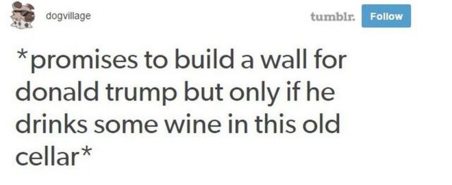 Обещает построить стену для Дональда Трампа, если он пьет вино в погребе