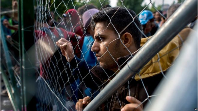 Migrant at border fence between Hungary and Serbia, 15 September