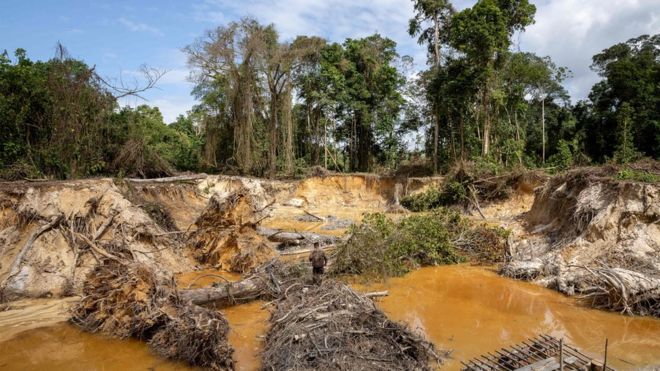 Обнаруженные французскими войсками крупные нелегальные рудники показывают обезлесение во Французской Гвиане
