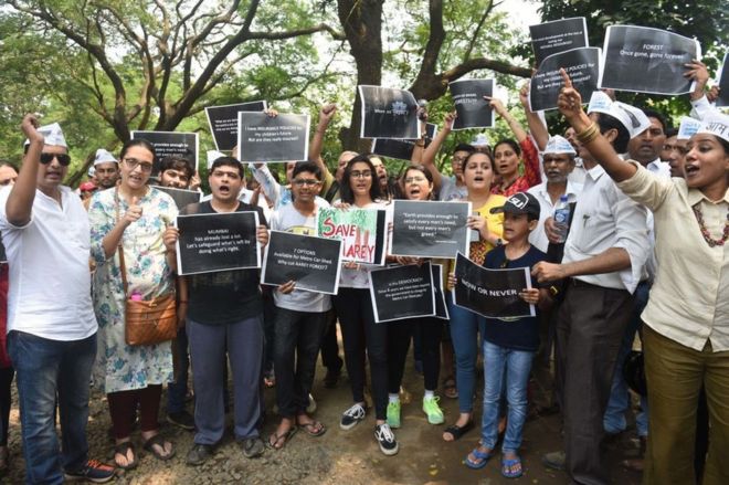 Жители колонии Аарея и члены партии Аам Аадми протестуют против вырубки деревьев, чтобы построить сарай метро в колонии Аарея 2 октября 2018 года в Мумбаи, Индия.