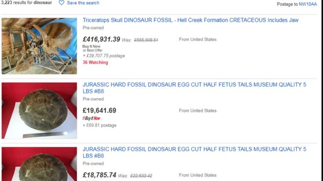 Поиск окаменелостей динозавров на eBay