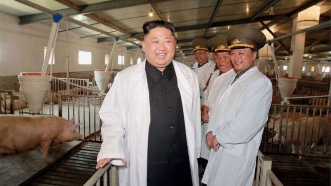 North Korean leader Kim Jong-un visits a pig farm on an airbase, according to a recent handout from the state news agency