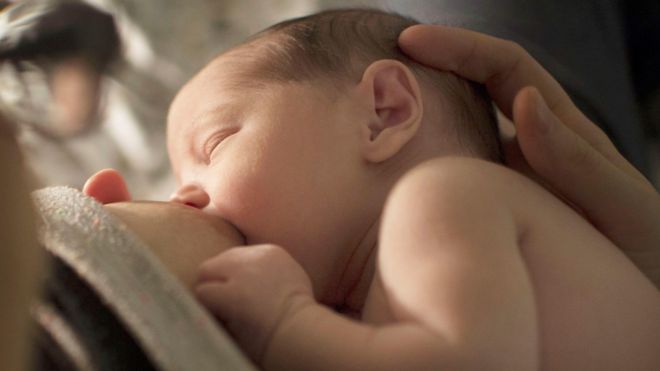 Mudança climática pode prejudicar a fertilidade masculina