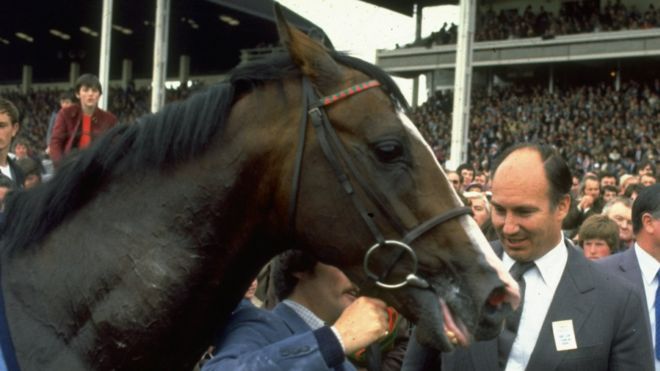 Window Fall Killed Shergar Jockey Walter Swinburn Bbc News