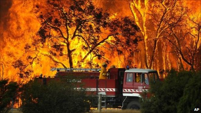 Пожарная машина уходит от лесного пожара в государственном лесу Бунип недалеко от поселка Тонимбук (7 февраля 2009 г.)