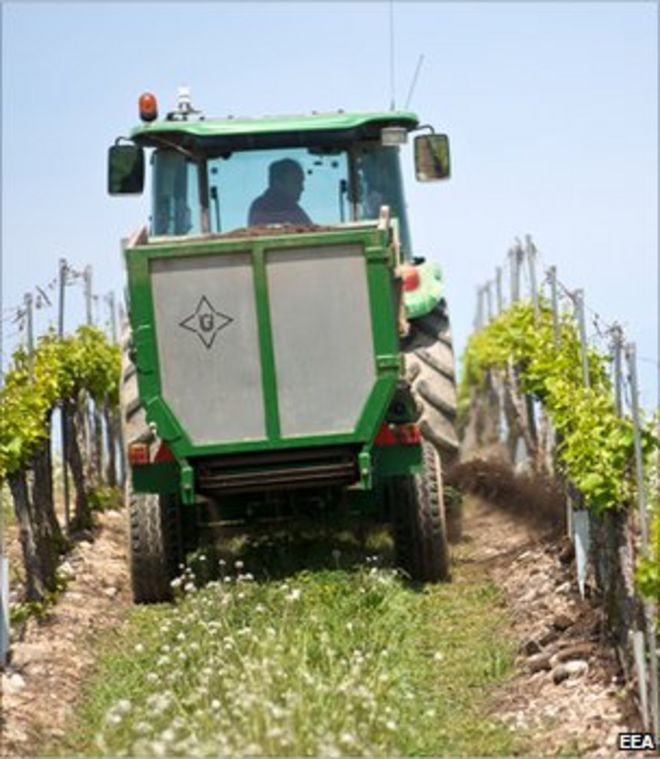 Трактор едет по винограднику (Фото: Европейское агентство по окружающей среде)