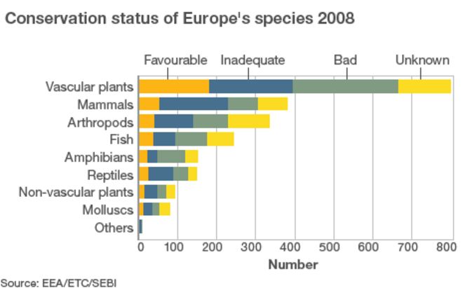 Диаграмма, показывающая статус сохранения европейских видов (Изображение: BBC)