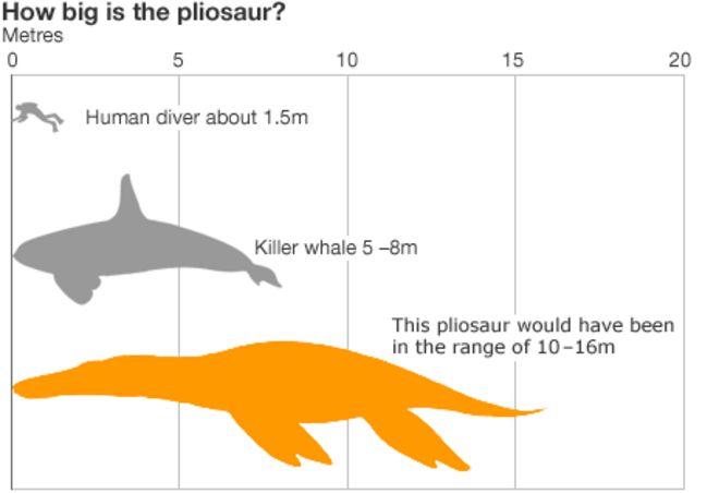 Плиозавр инфографики