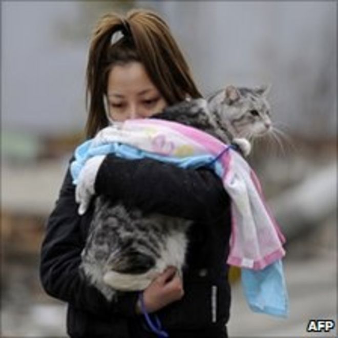 Женщина держит домашнюю кошку на разрушенной цунами улице в Японии
