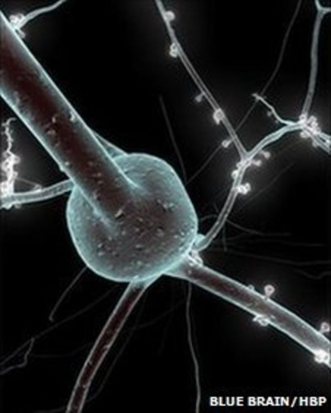 одиночный нейрон