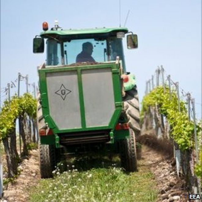 Трактор едет по винограднику (Фото: Европейское агентство по окружающей среде)