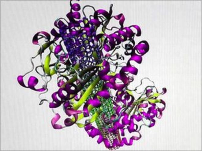 Компьютерная модель нанотрубок и ферментов