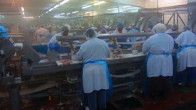 Рабочие на линии на заводе сомов в Миссисипи