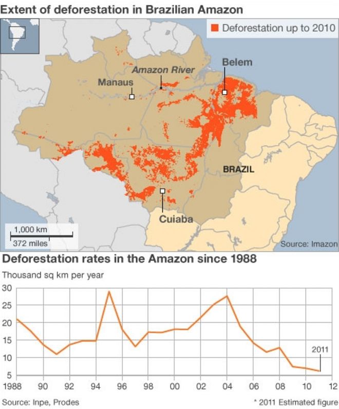 Графическое изображение вырубки лесов Амазонки
