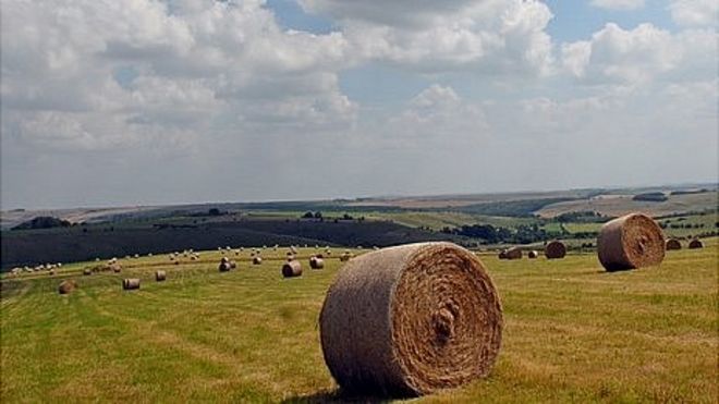 Тюки сена в Уилтшире, Великобритания - файл фото