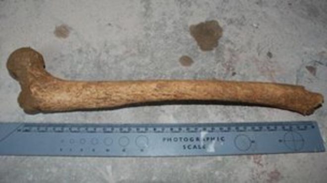Человеческие останки найдены в Престоне, Уэймут