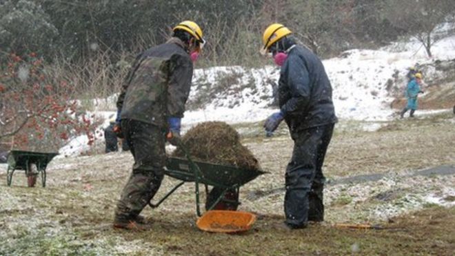 Рабочие убирают загрязненный верхний слой почвы и растительность