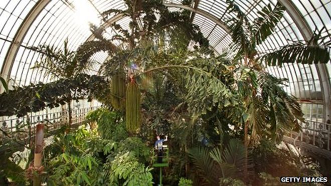 The Palm House в Королевском ботаническом саду, Кью