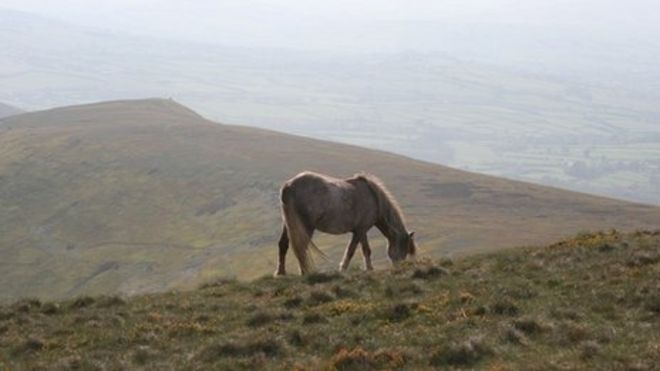 Brecon Beacons