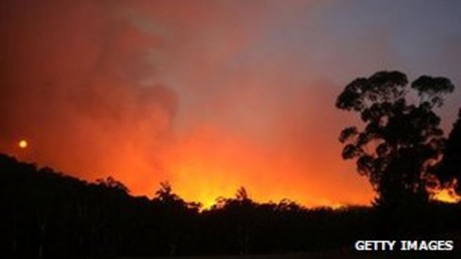 Картина австралийского куста с освещенным огнем небом