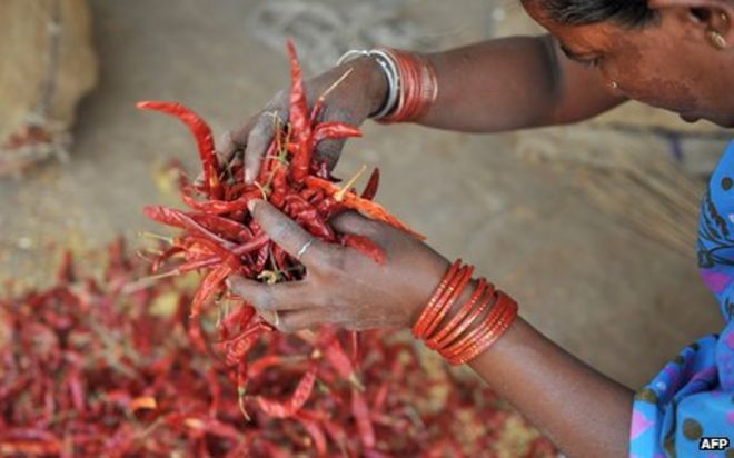 Женщина с урожаем красного перца чили