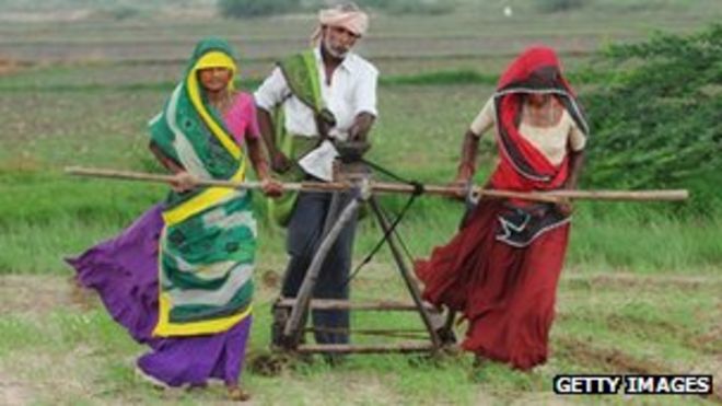 Индийские фермеры, Гуджарат