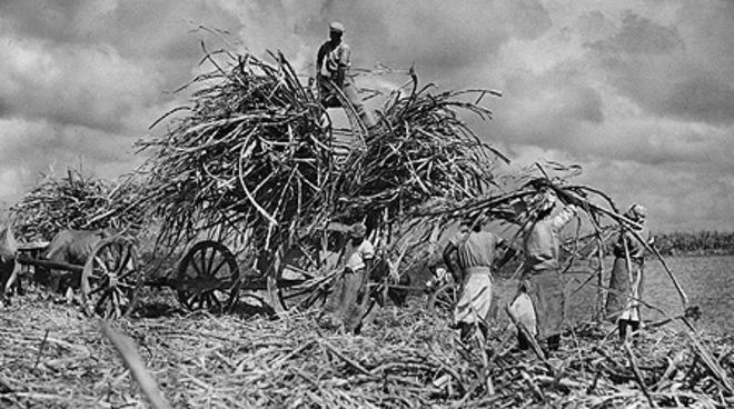 Рабочие сахарной плантации