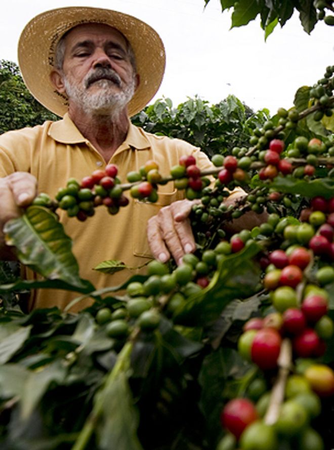 Кофейный фермер в Колумбии