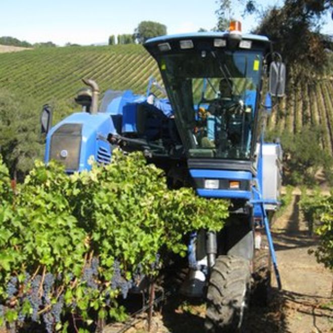 Трактор в винограднике