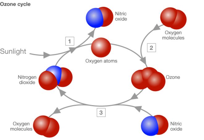 Изображение озонового цикла