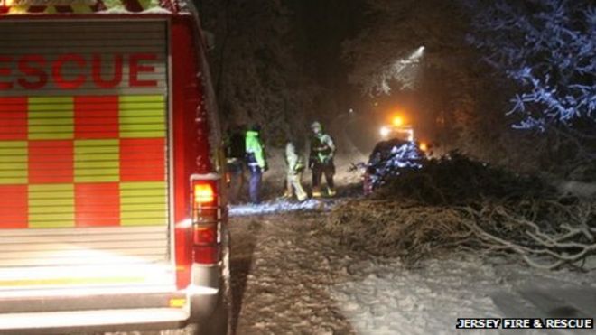 Пожарная служба спасает пару, попавшую в ловушку под деревом