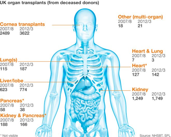 Графика донорства органов