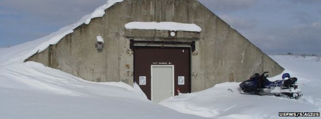 Бункер, Национальный заповедник Aroostook (Изображение: USFWS / Steve Agius)