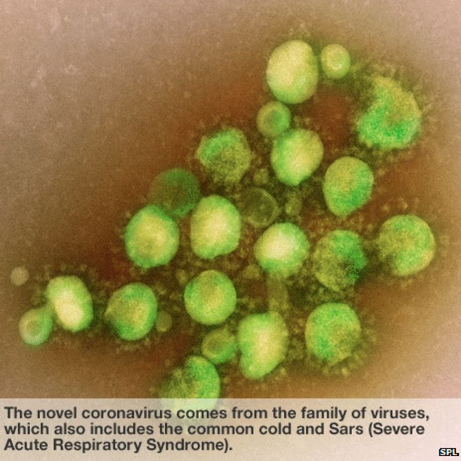 Новый коронавирус происходит из семейства вирусов, которое также включает простуду и Sars (тяжелый острый респираторный синдром).