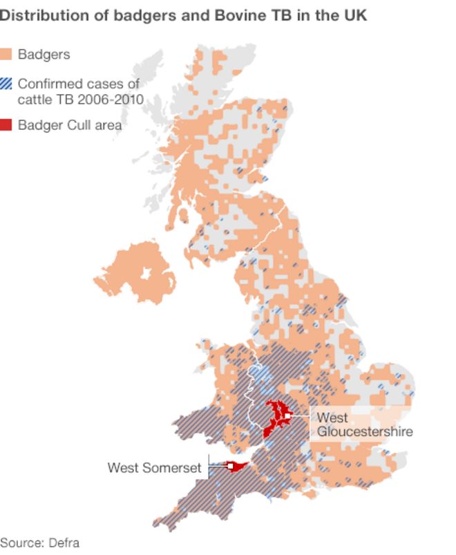 Карта распространения барсука и туберкулеза крупного рогатого скота в Великобритании