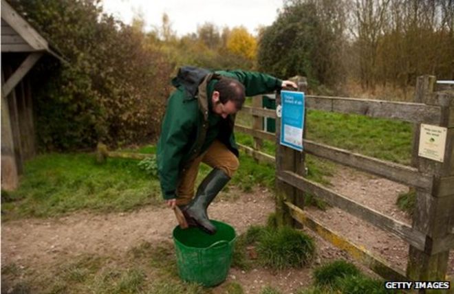 Работник Woodland Trust дезинфицирует свои ботинки в Pound Farm Woodland