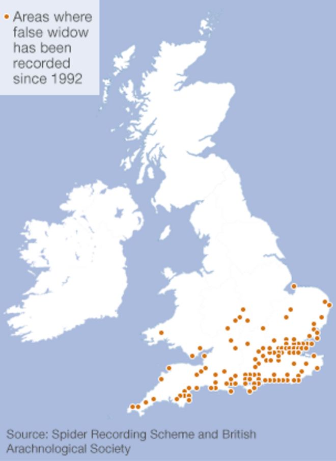 Карта распространения ложной вдовы в Великобритании