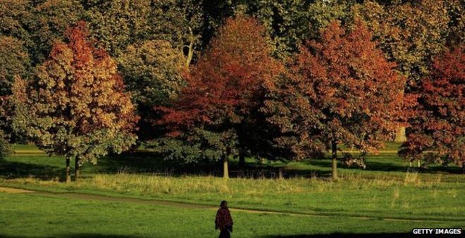 Человек, идущий по Гайд-парку в Лондоне (Getty Images)