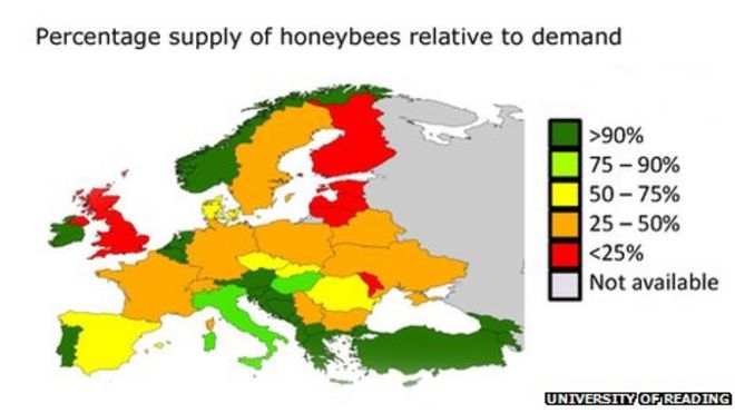 карта пчел
