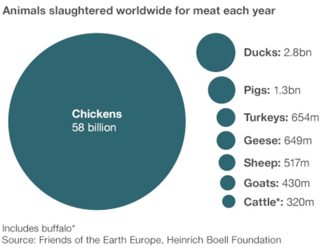 Диаграмма, показывающая, что убито намного больше кур, чем других животных