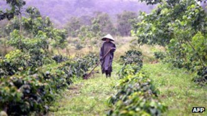 Фермер под дождем, плато Болавен (2003)