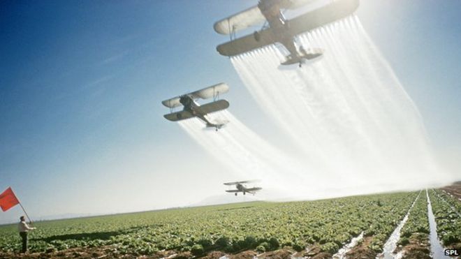 Самолеты засыпают посевы пестицидами