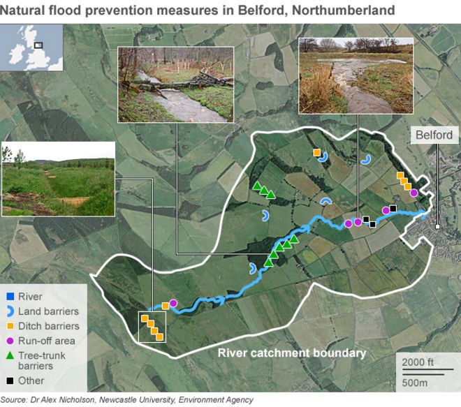 Карта, показывающая меры по предотвращению естественных наводнений в районе Белфорда в Нортумберленде