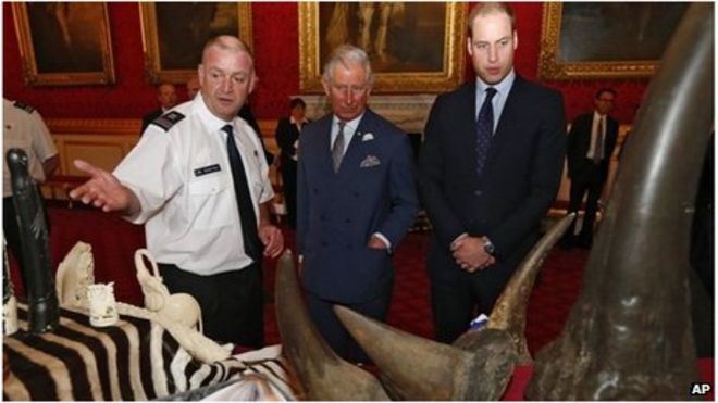 Принц Чарльз и принц Уильям исследуют предметы, включая рог носорога