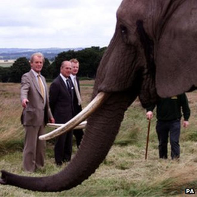 Принц Филипп стоит возле слона