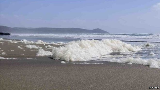 Разлагающаяся водорослевая пена на пляже (Фото любезно предоставлено доктором Ричардом Кирби)