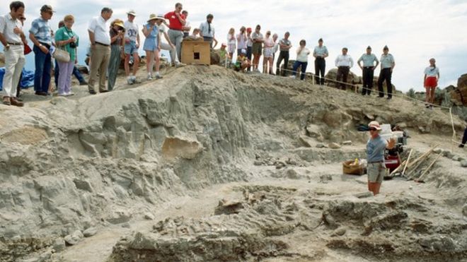 Раскопки Ванкеля T-Rex в Форт Пек, штат Монтана