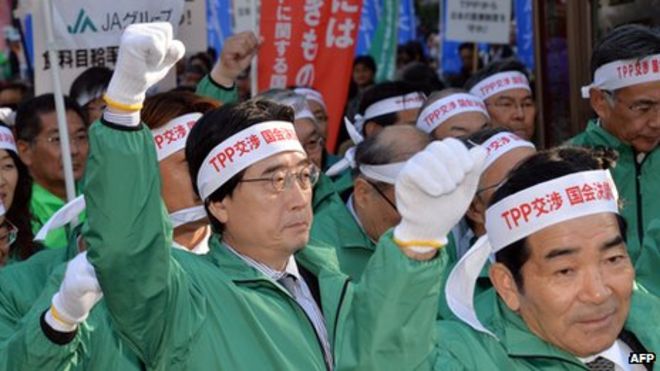 Около 3000 демонстрантов, в основном фермеры, вышли на улицы Токио 3 декабря 2013 года