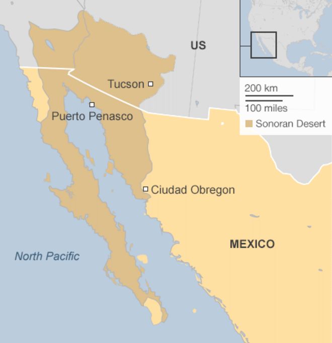 Карта с изображением пустыни Сонора