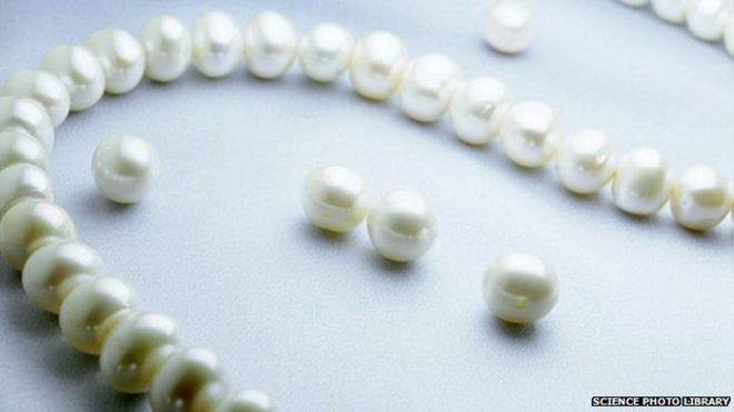 How pearls are made/form in the oyster | The Pearl Source